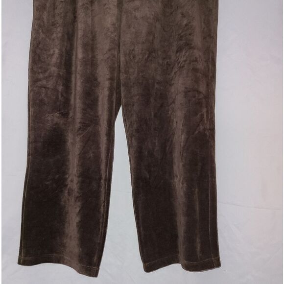 Draper's & Damon's Petites Hot Chocolate Brown Pull On Pants Size PXL - Picture 3 of 9